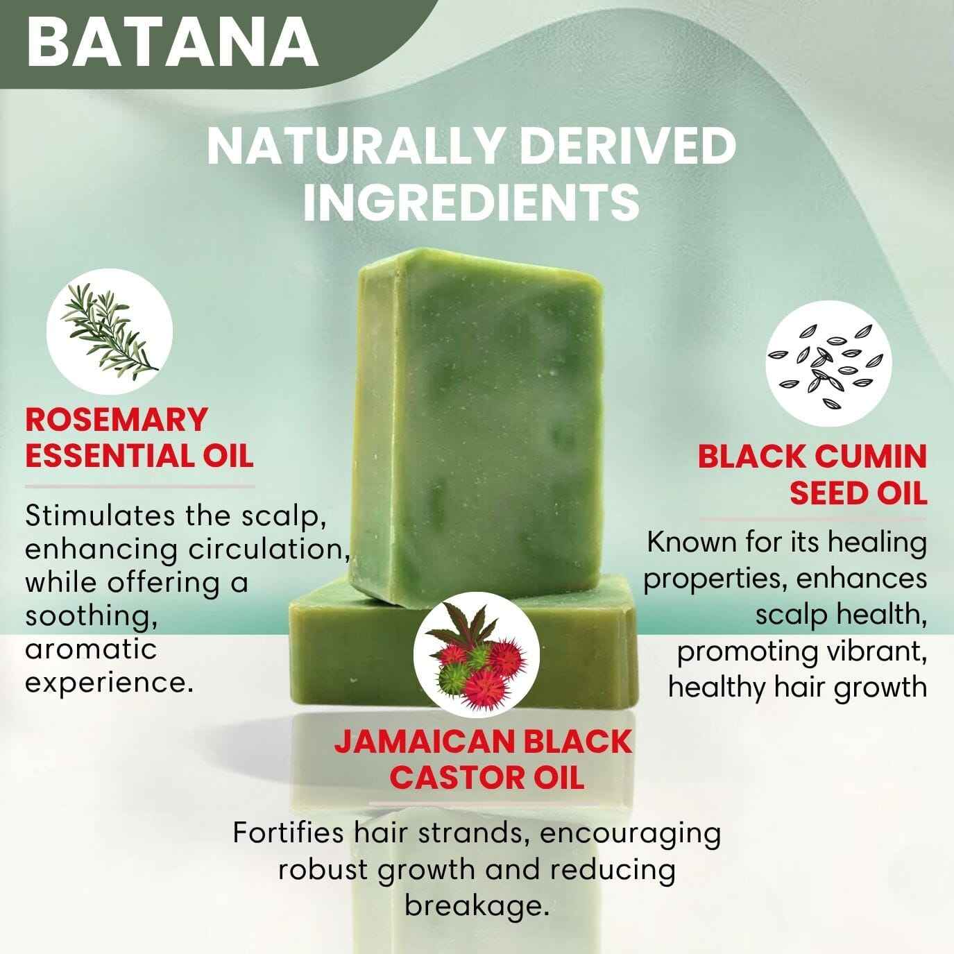 Shampoo Bar Batana