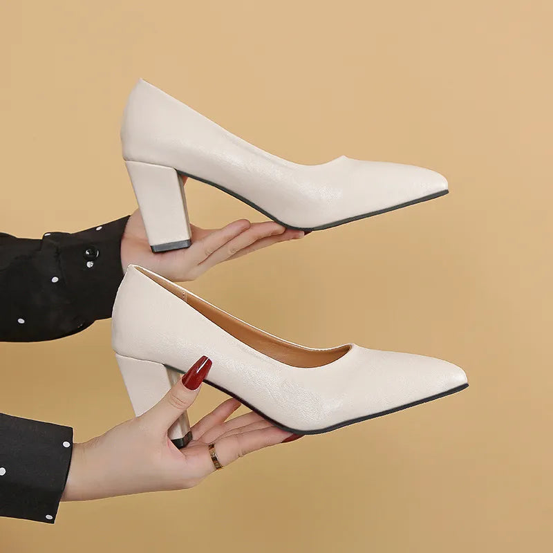 Point Toe Block Heels Pumps