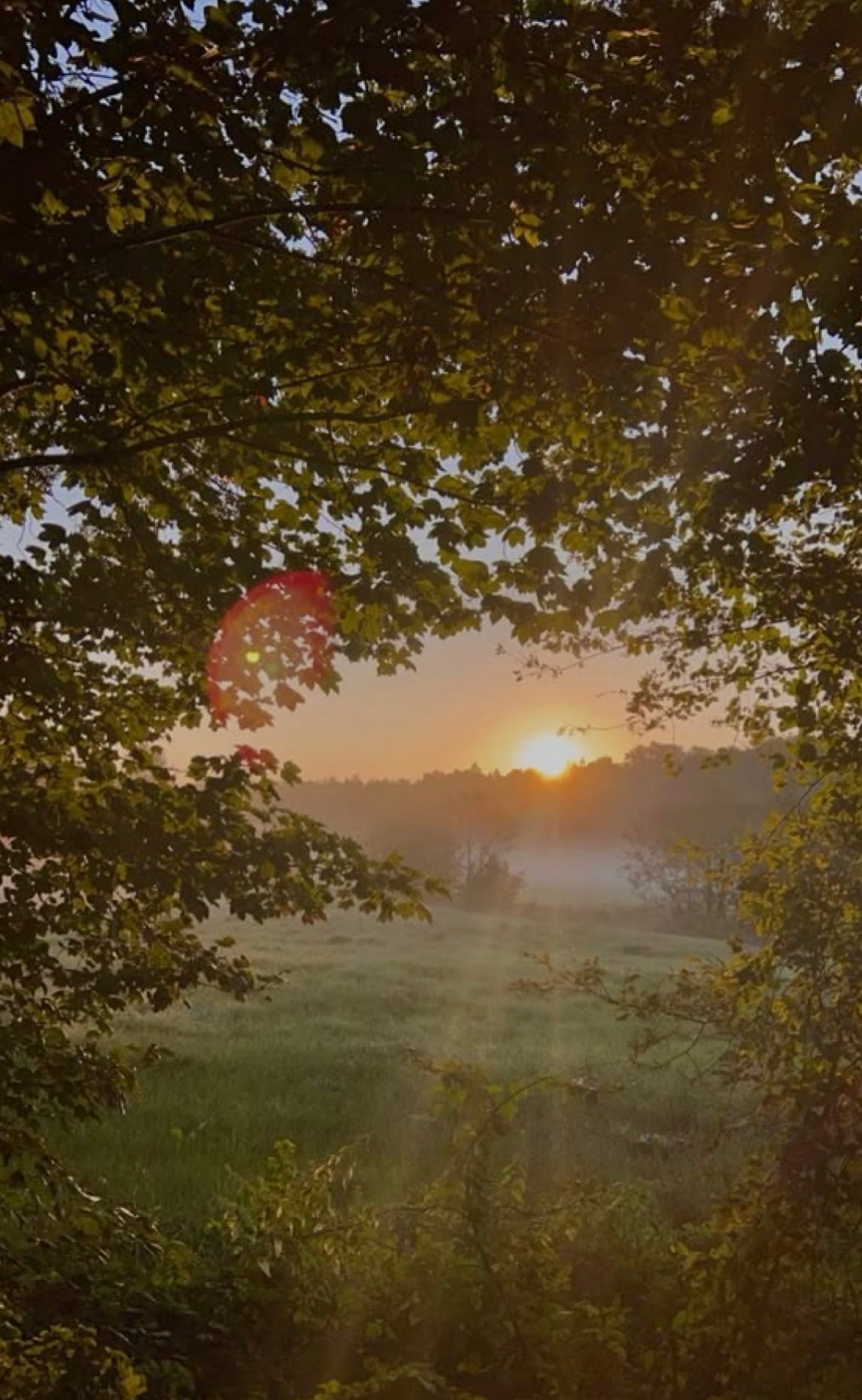 Slow Mornings 7.5 oz Candle