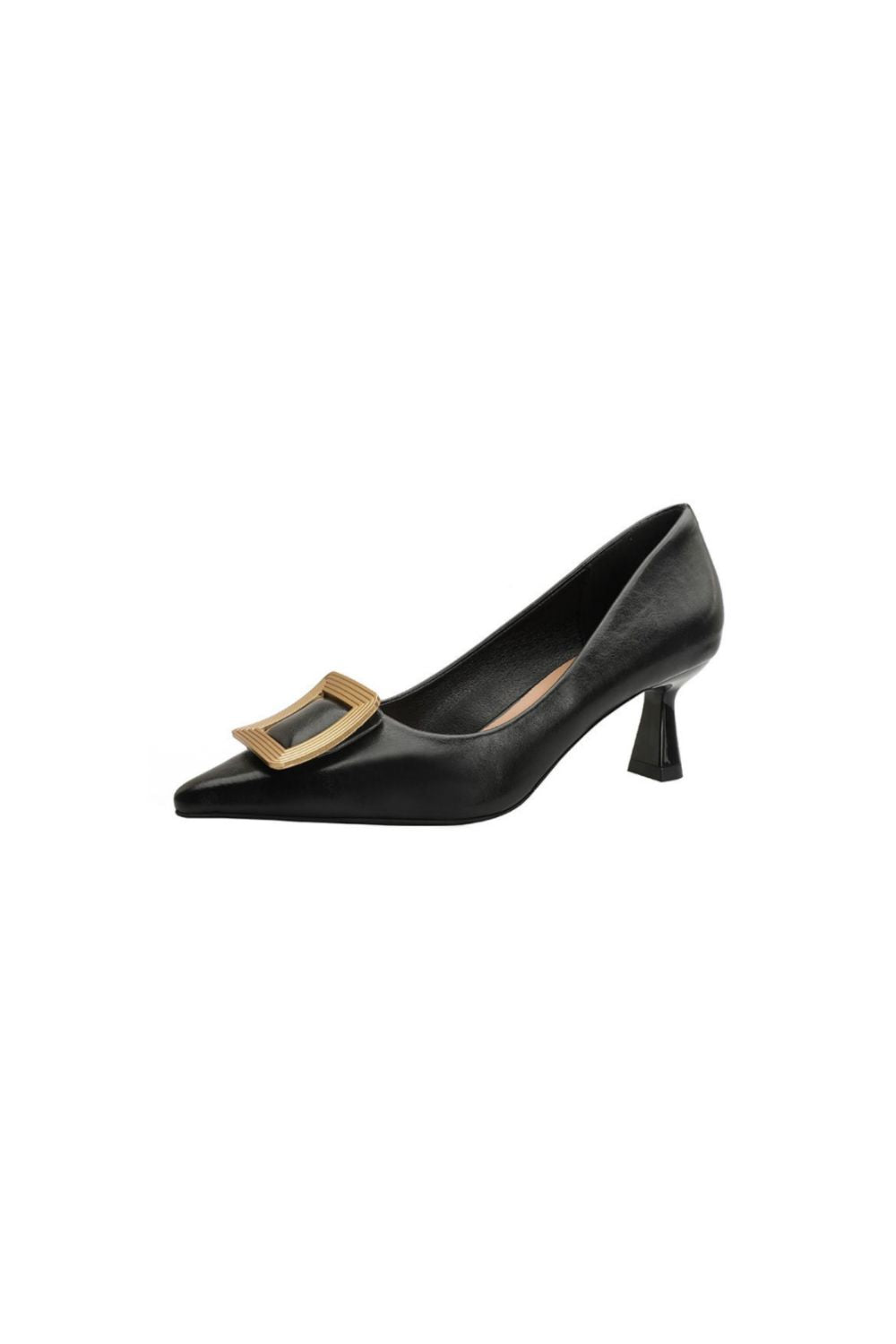 Point Toe Flare Heel Pumps Black