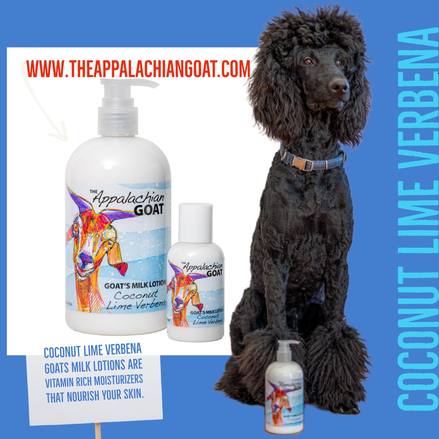 COCONUT LIME VERBENA GOATS MILK LOTION