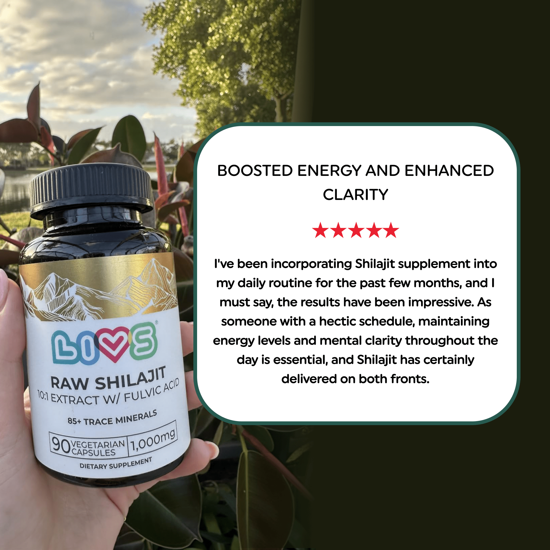 Raw Shilajit