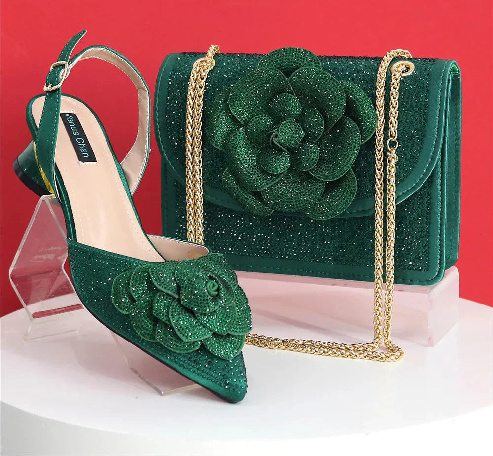 Pointed Top Latest Design Women's Shoes and Bags Set