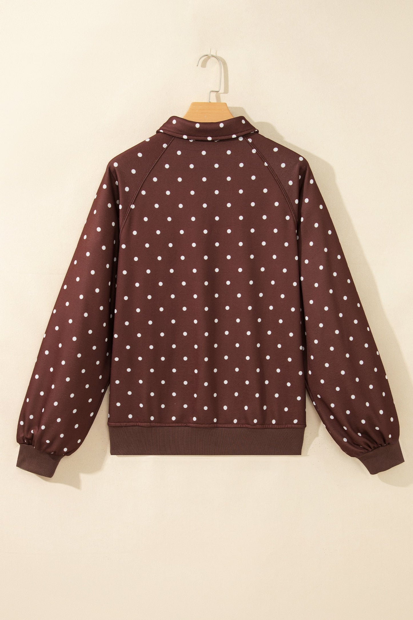 Polka Dot Metal Button Collar Pullover Sweatshirt