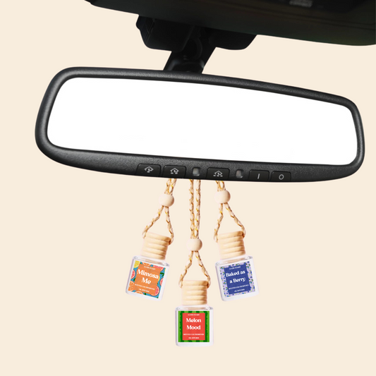 Cranberry Apple Crisp Car Diffuser