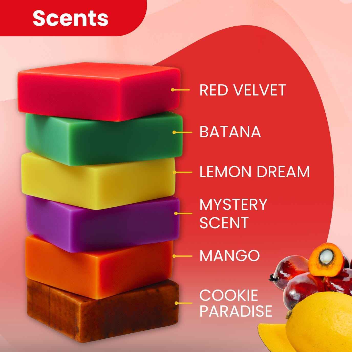 Shampoo Bar