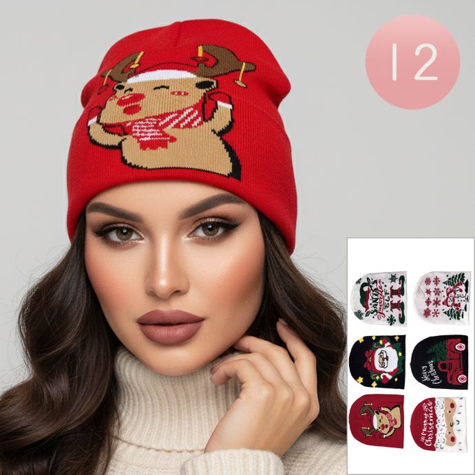 12PCS - Christmas Winter Beanie Hats