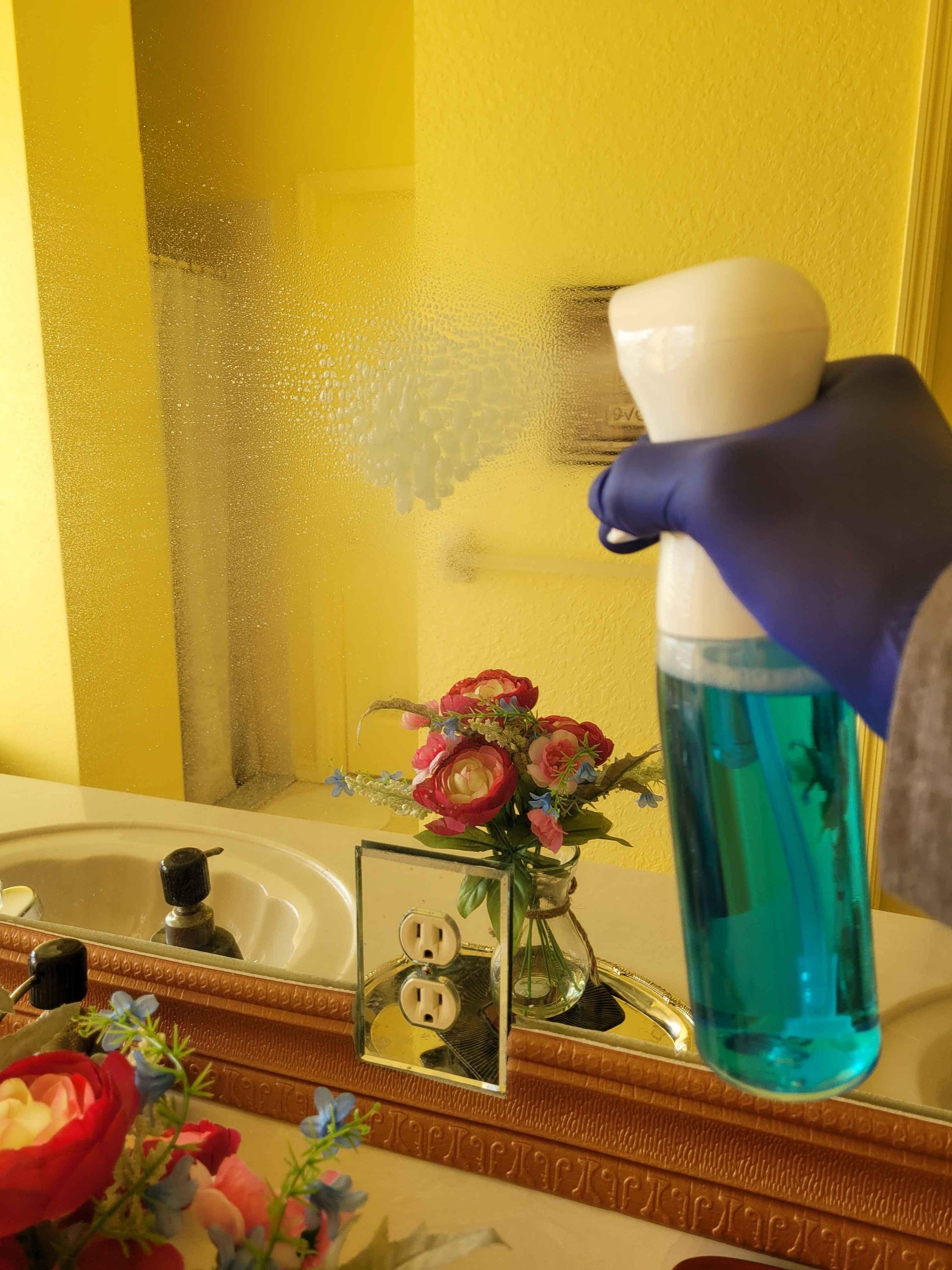 Spray Bottle for Hair, Pet Grooming, Hair Salons, & Cleaning