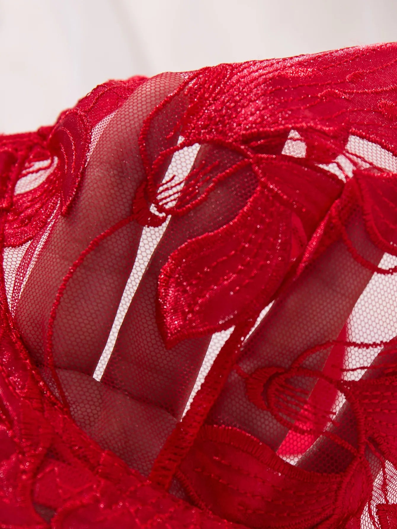 Fairy Lingerie Floral Valentine Charming Brief Panty Underwear Sexy Nighty Fancy Underwear Brief Set for Lady See Through Bra