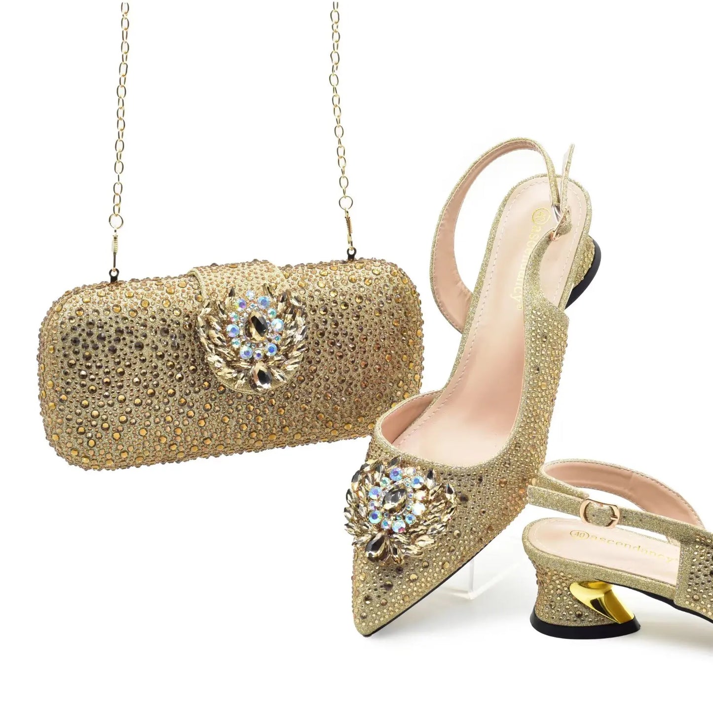 Matching Women Shoe and Bag Set HAS1-1