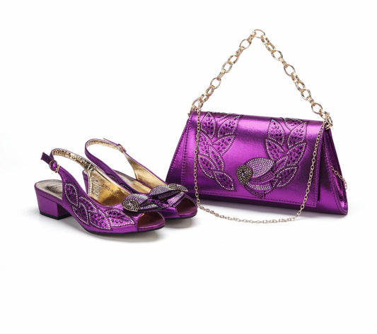 Elegant Low Heels Ladies Shoes And Bag Set