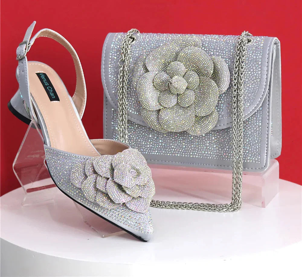 Pointed Top Latest Design Women's Shoes and Bags Set