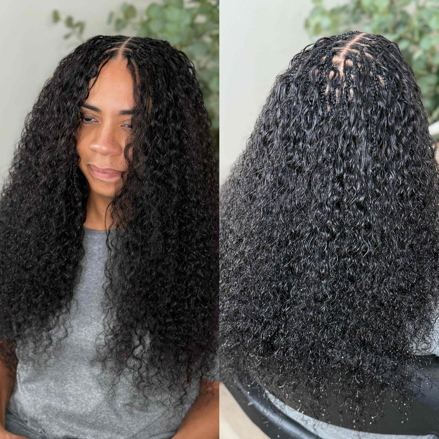 Burmese Curly