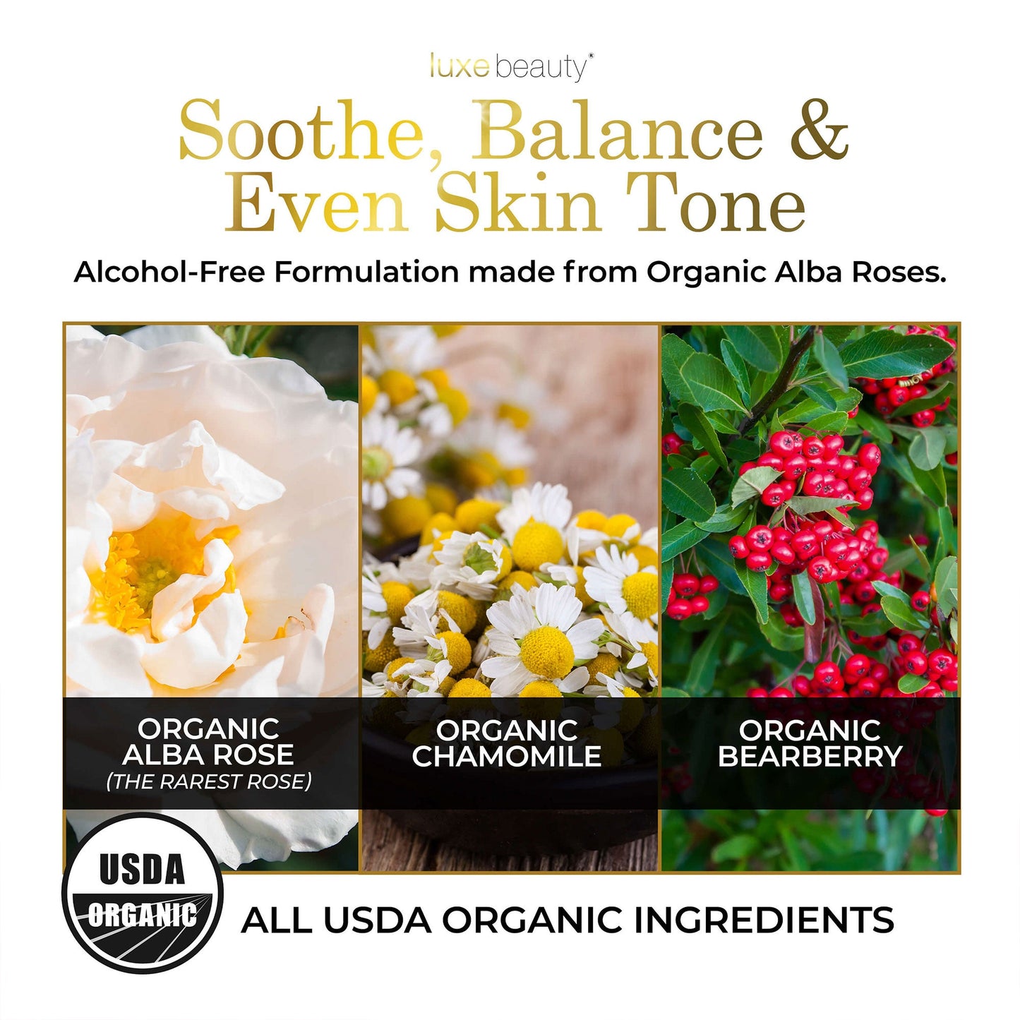 Organic Luxe Toner